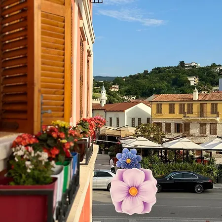 Πανσιόν The Cosy